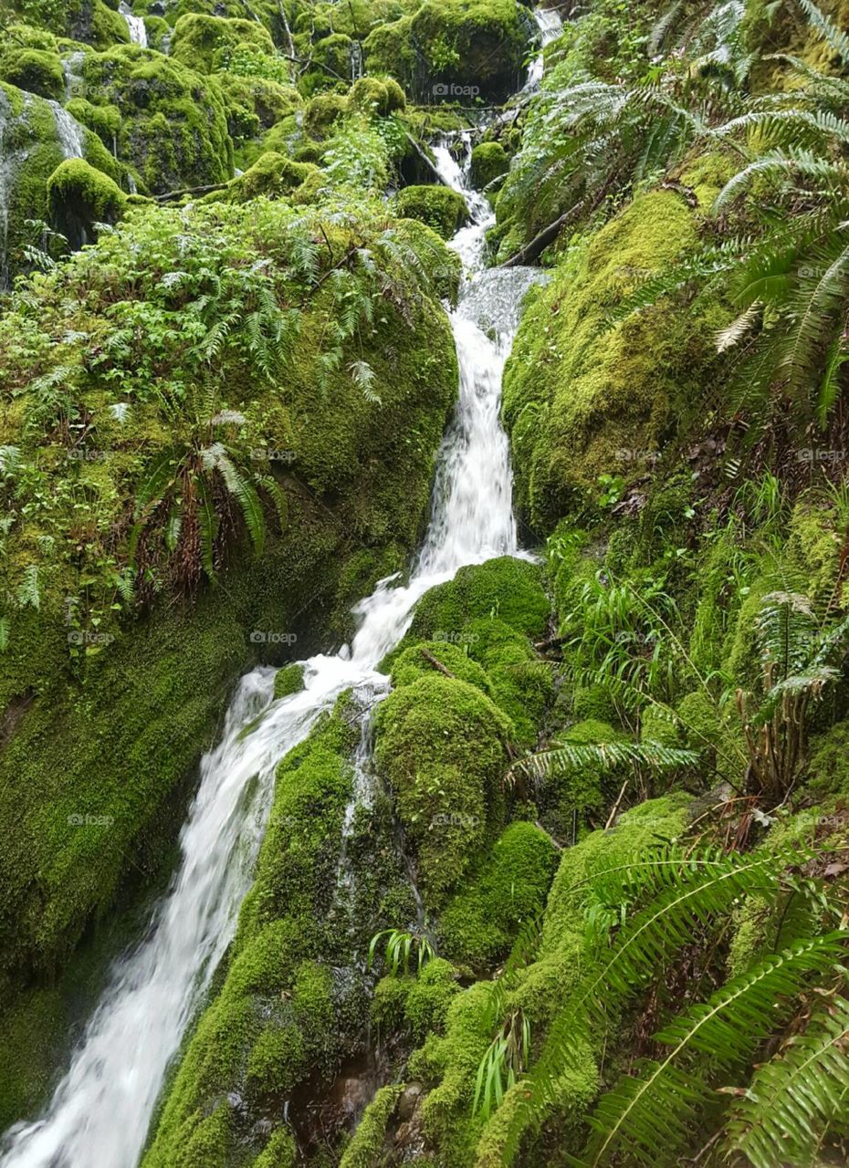 Small waterfall trickling over moss covered boulders
