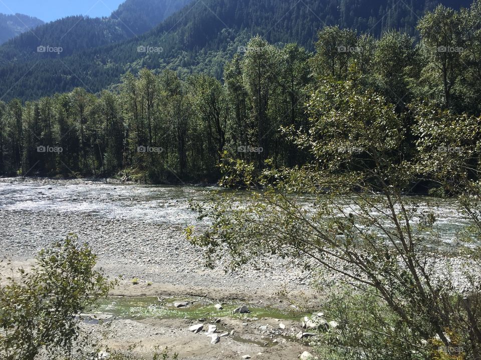 Water, Landscape, Nature, River, Wood