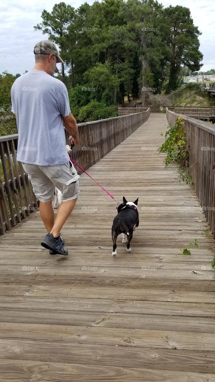 Walking the dog