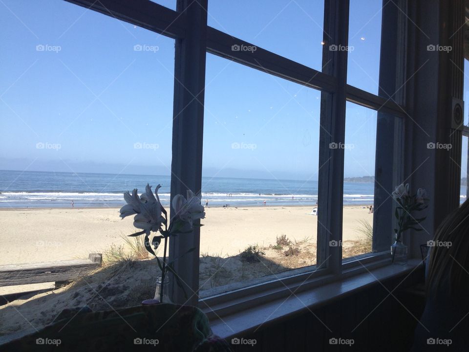 Through the Looking Glass. Stinson Beach, California