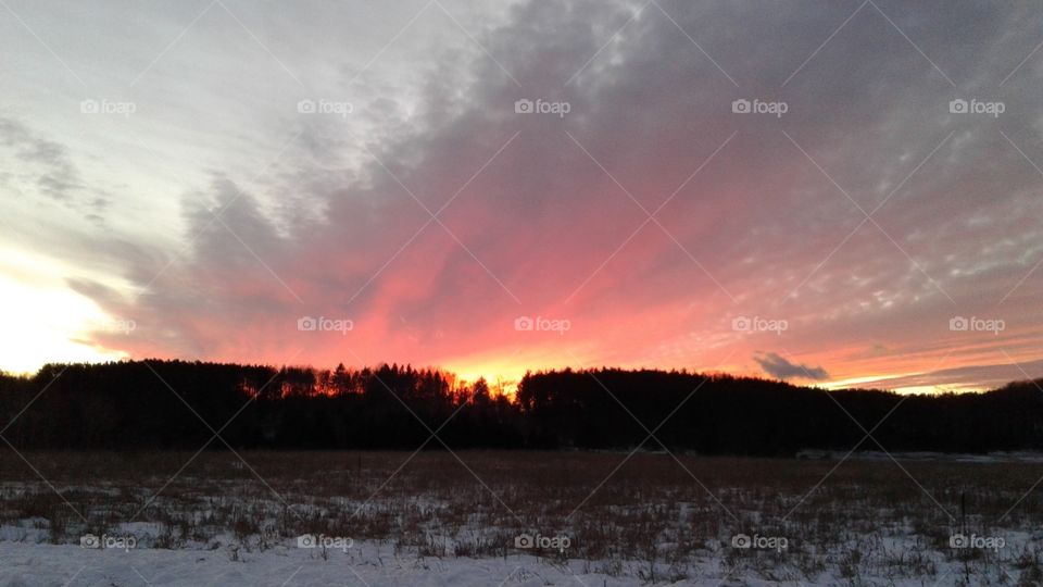 Northern Michigan 