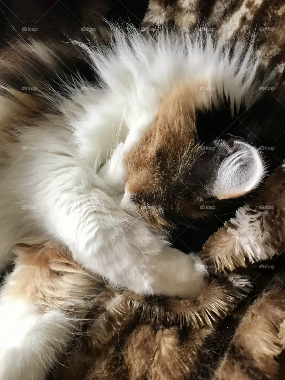 Do not disturb 