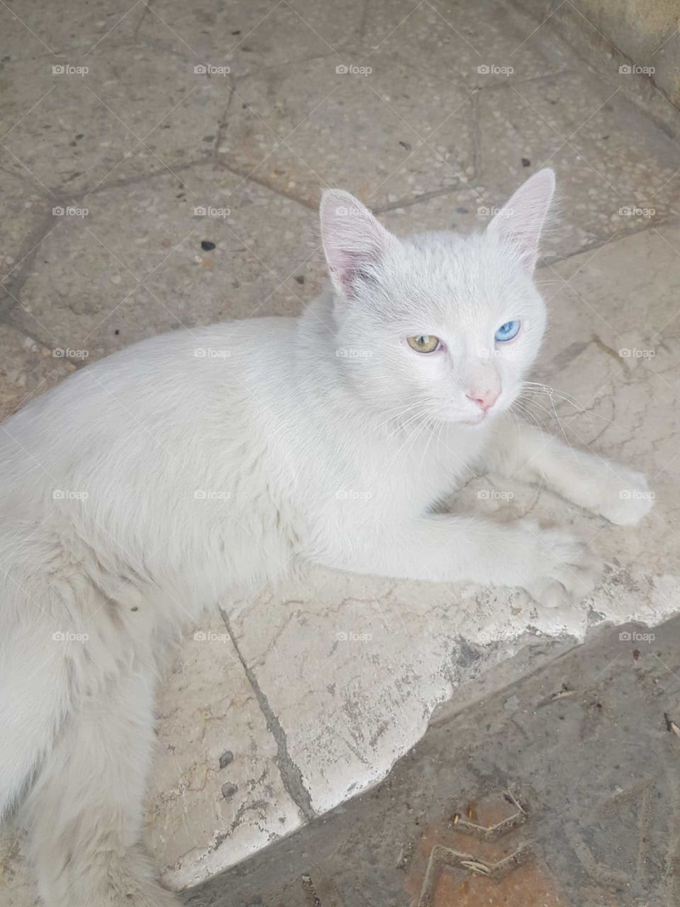 am poor. I want your support. Stop it