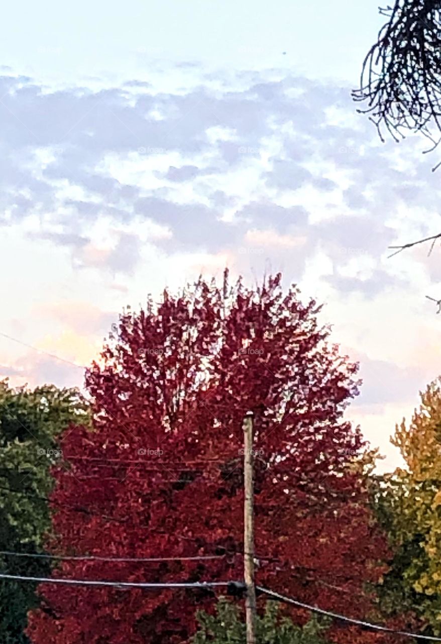 Gorgeous morning on nice Fall morning 