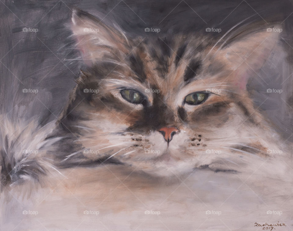 The Cat. Oil on Convas. 