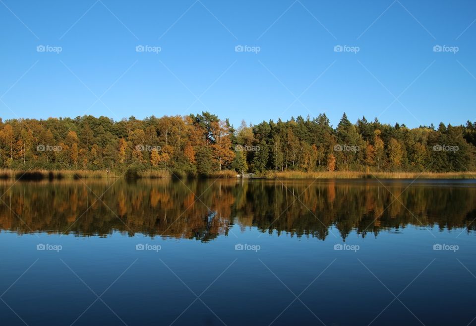 Reflections on the lake