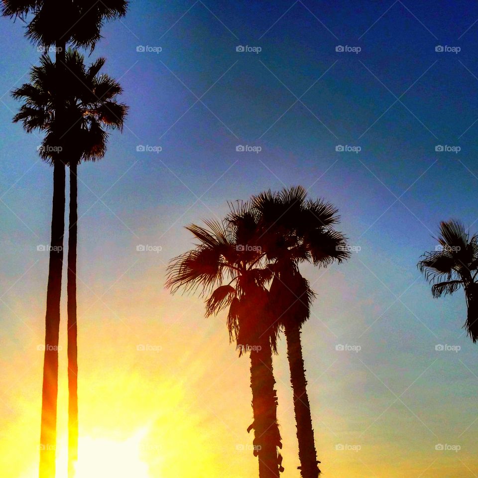 Venice Beach. Sunset.