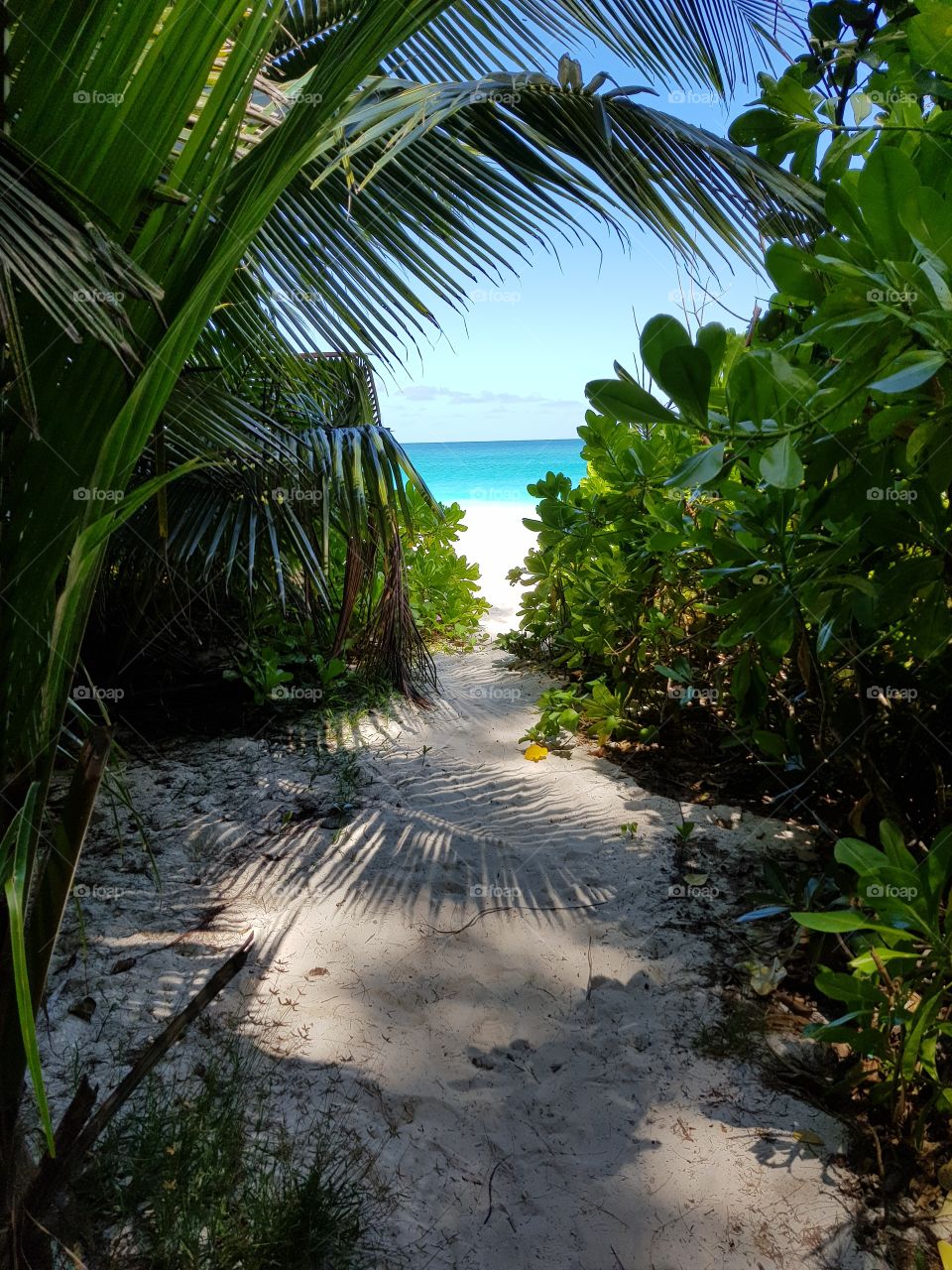 Entrance to paradise