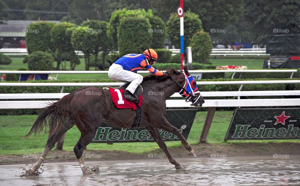 Caixa Eletronica. The warrior and million dollar earner Caixa Eletronica winning in the slop at Saratoga with John Velasquez.
Fleetphoto