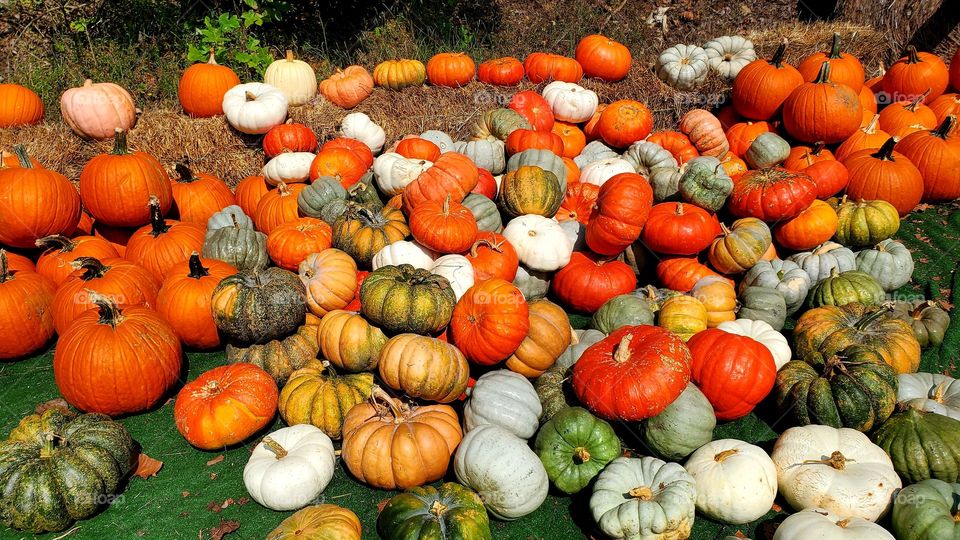 The first day of October in southwestern Virginia