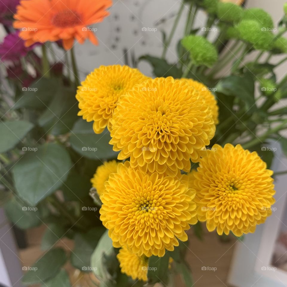 Pretty yellow flowers