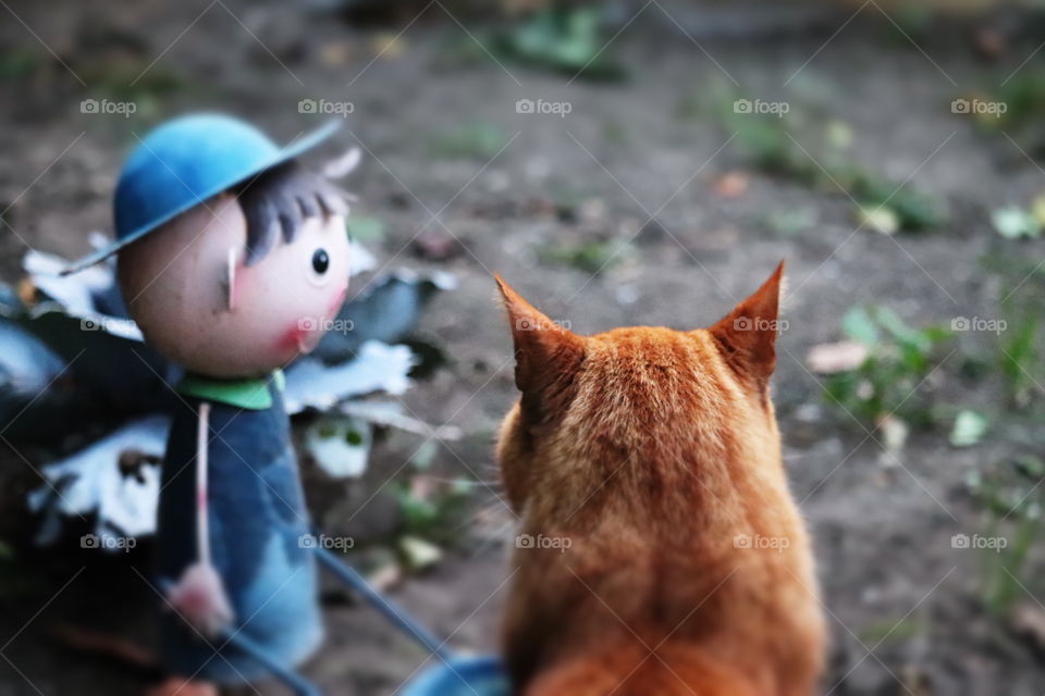 Gardener and cat