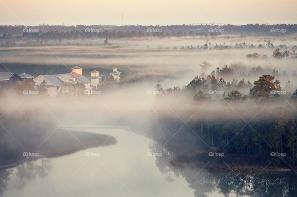 Early Morning Fog in December