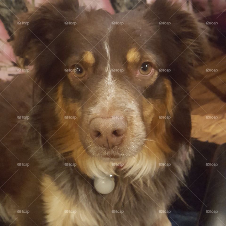 curious, but serious about it