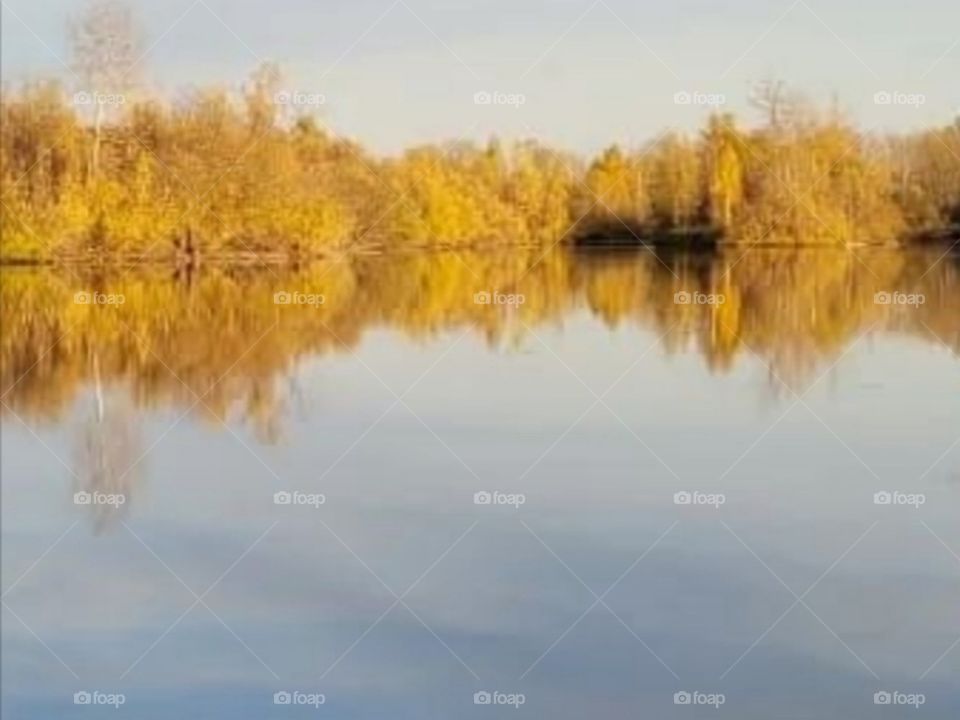 Краски осени