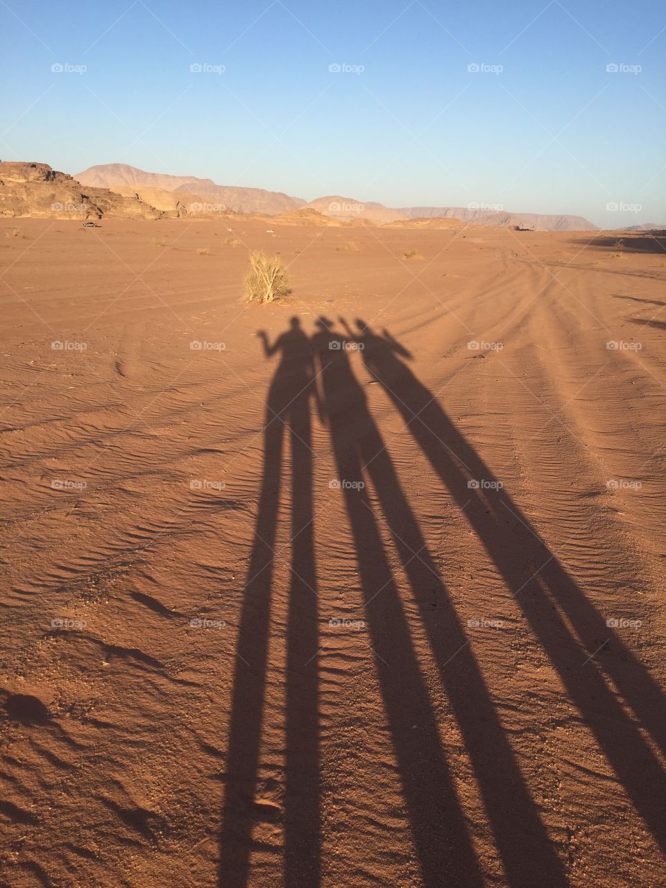 Long shadows at sunset in the desert. Wadi Rum, Jordan. 