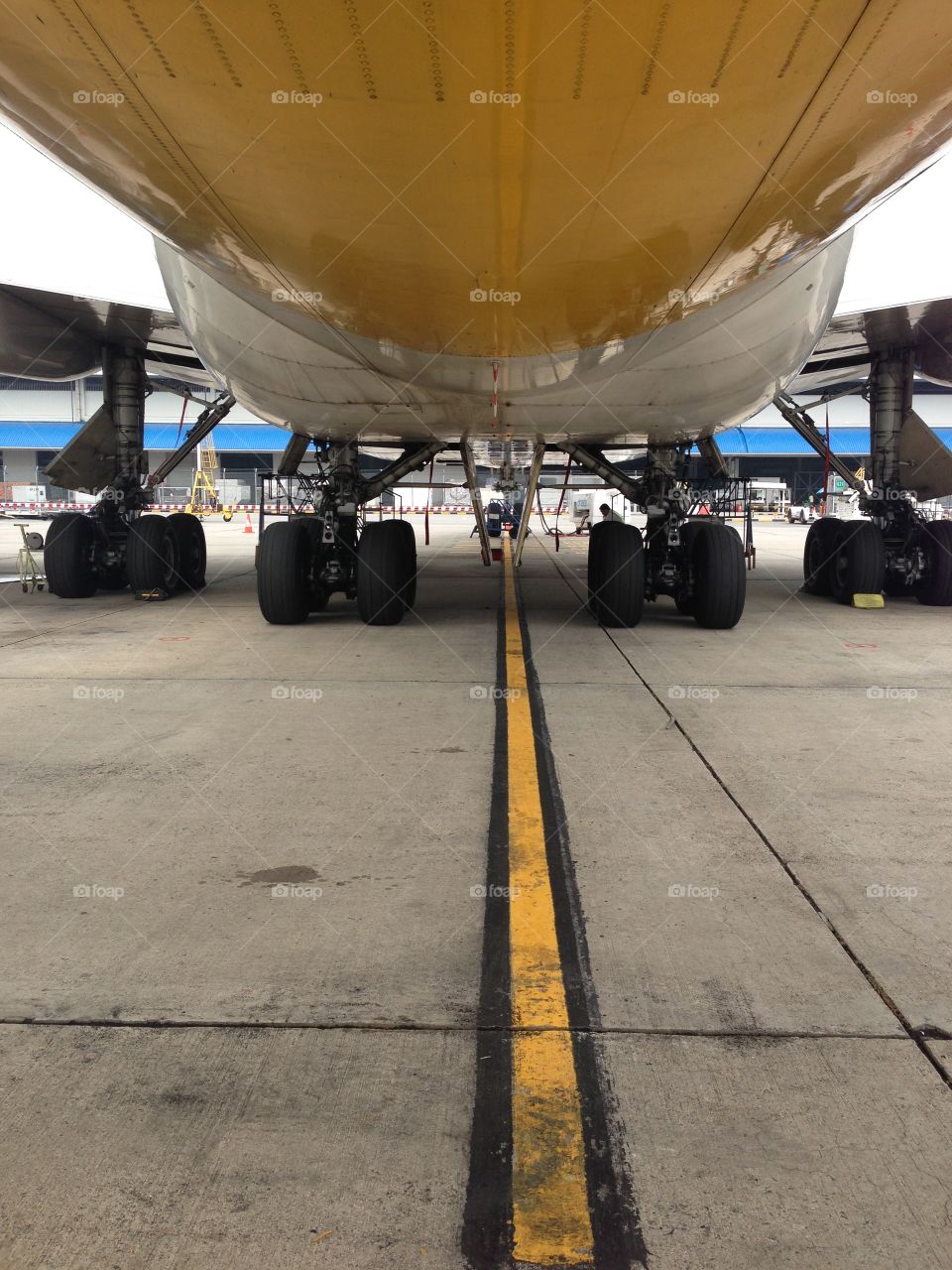 Underbelly of a Plane
