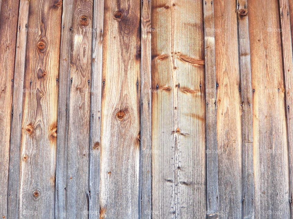 wood pattern and texture