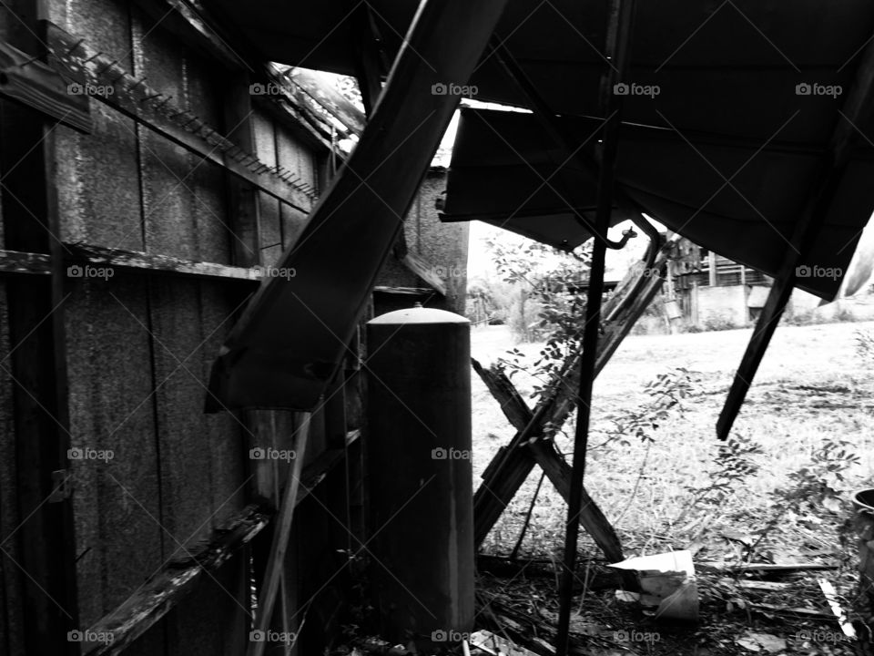 Abandoned Jungleland Zoo