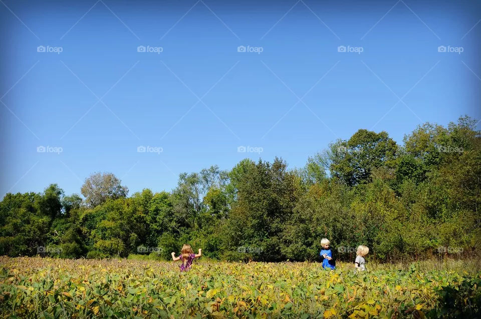 Farm