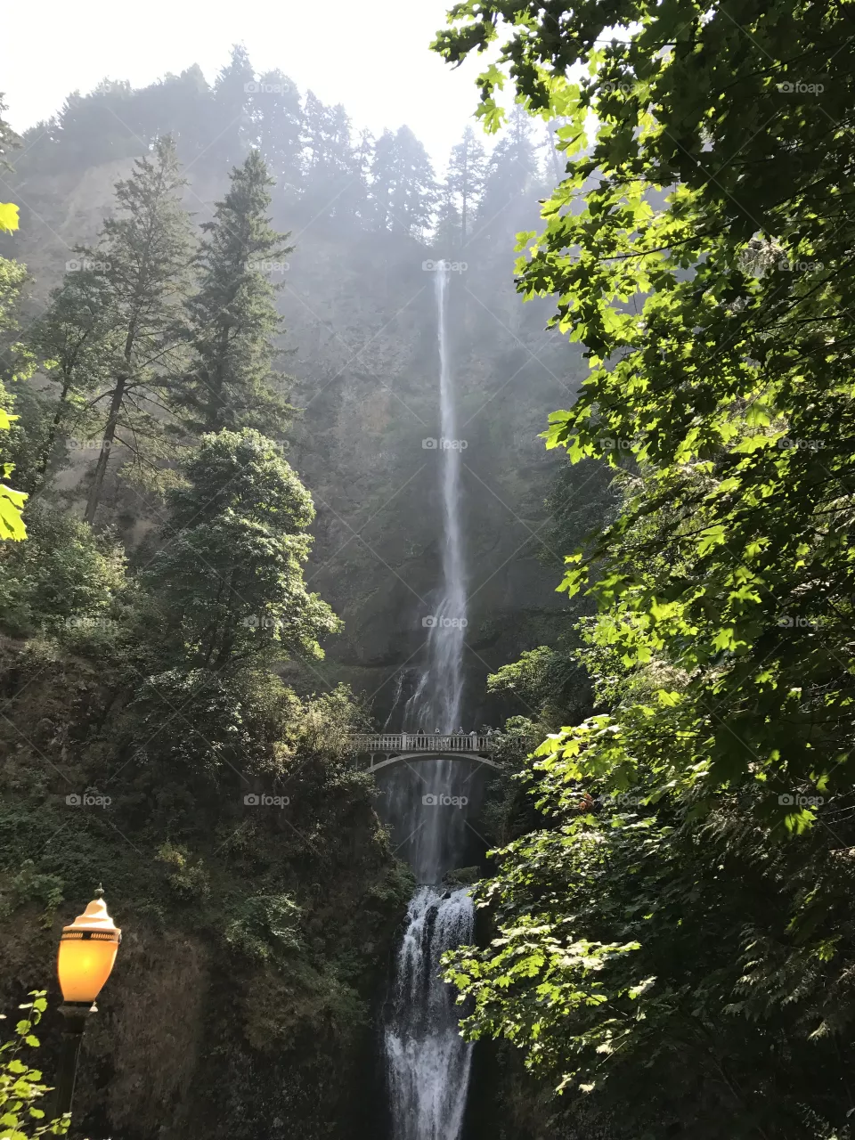 Multinomah falls Oregon