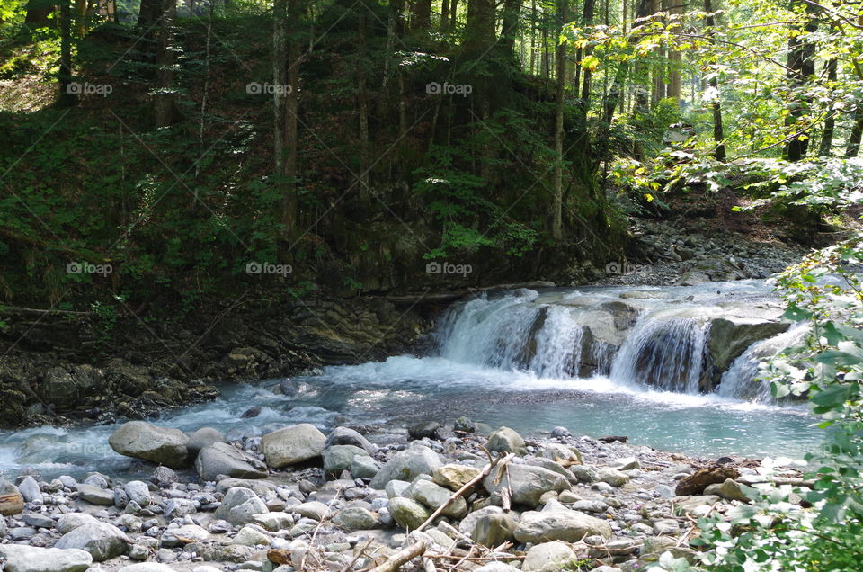 Waterfall in the forest