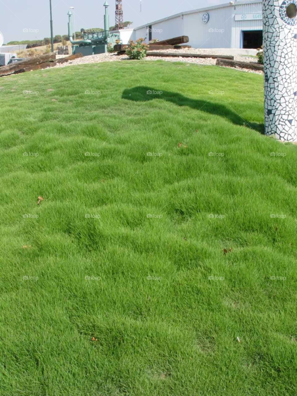 When the earth wears its green dress and adorns its dress