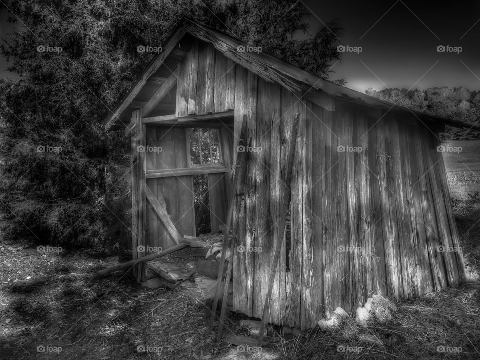 She’s broken and trying to hold on...