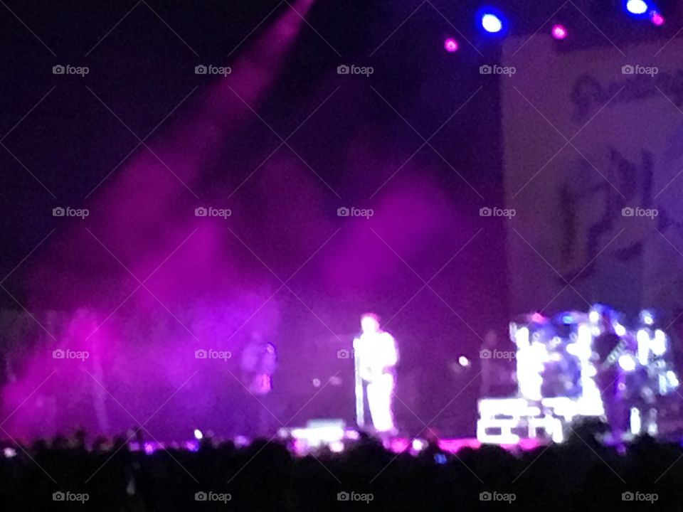 311 during Florida Man 