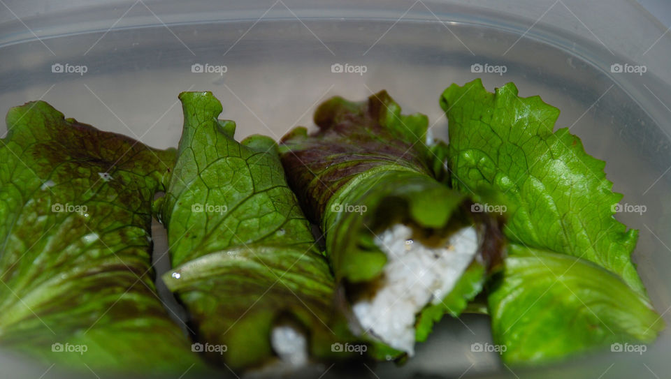 Spring lettuce wrap
