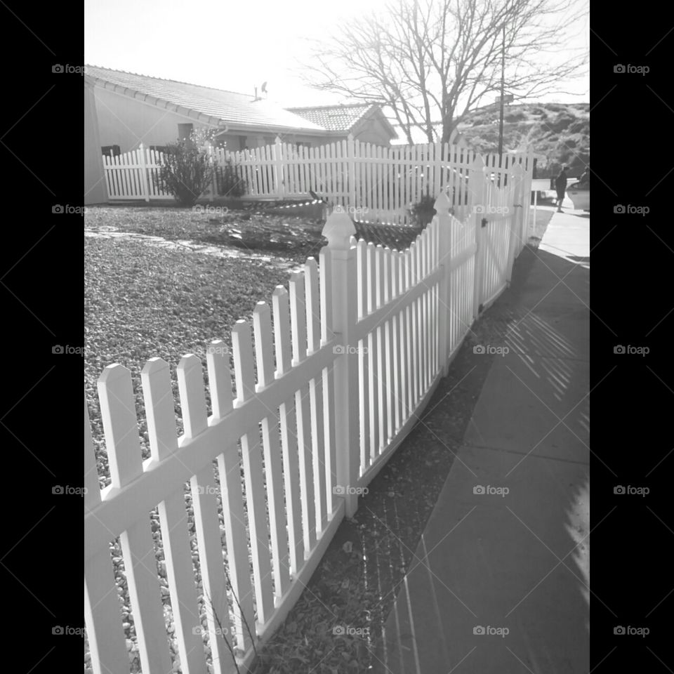 fence