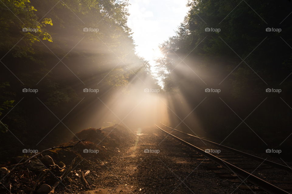 Light shining between the trees on to train tracks 