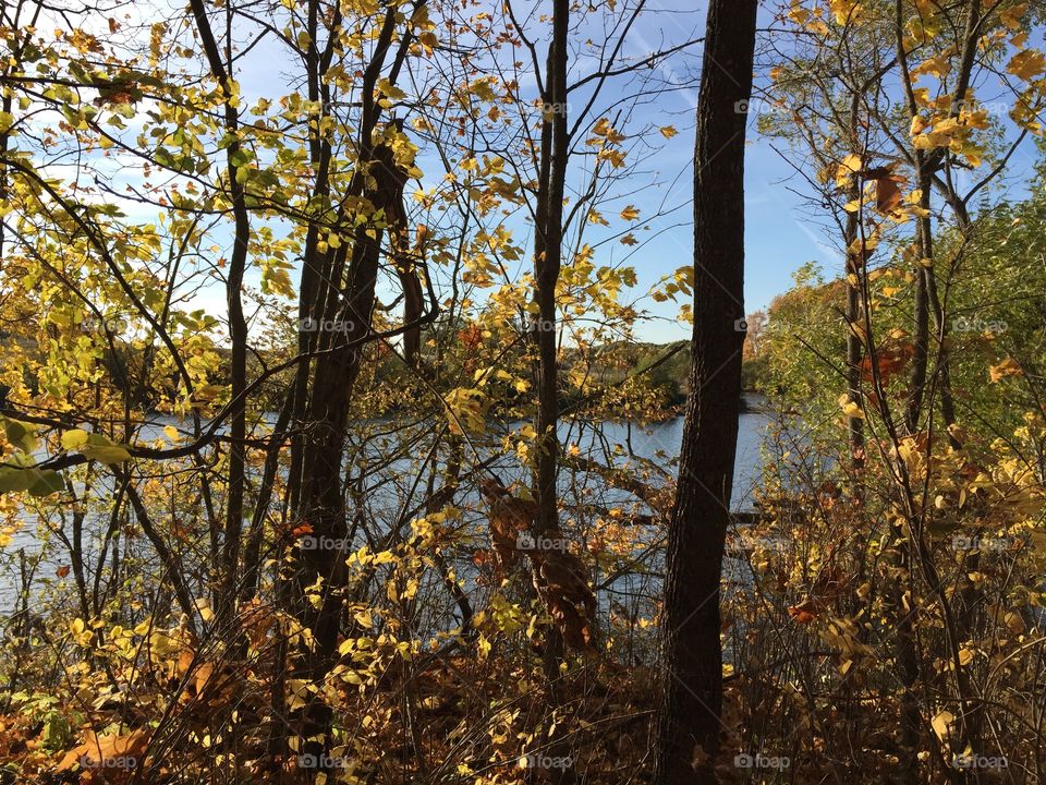 At the beginning of autumn
There is a short, but wondrous time
When days seem made of crystal
And evenings are radiant…