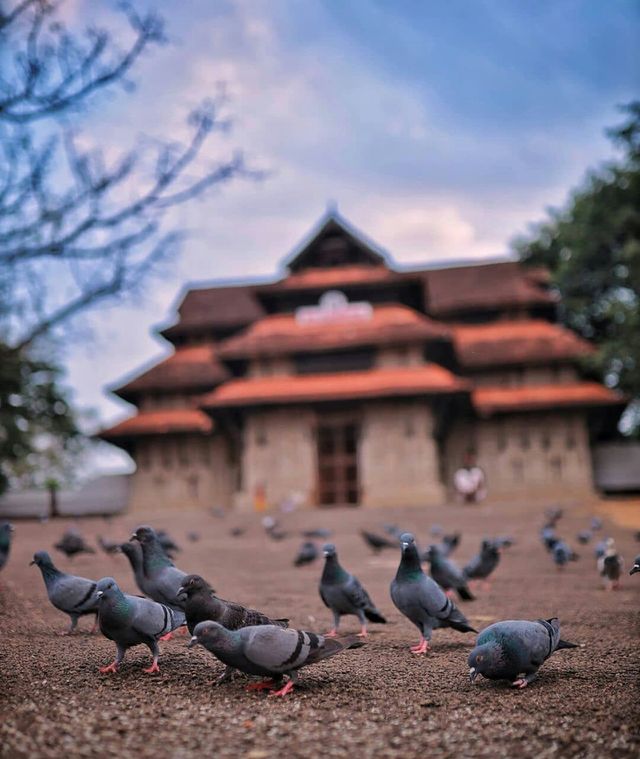 temple kerala