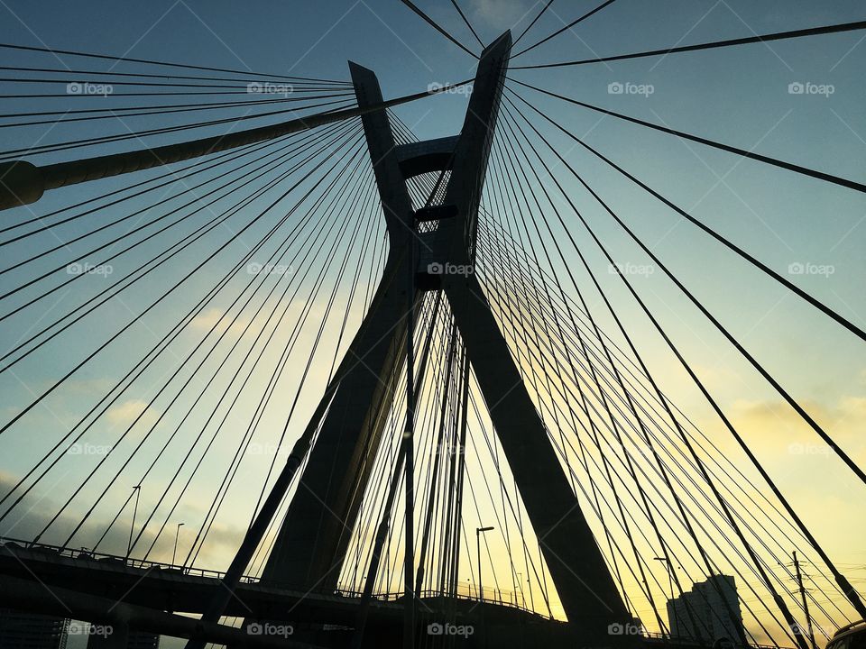 Bridge octavio frias estaiada sp são paulo
