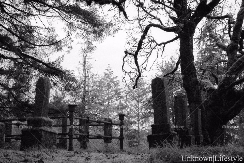 Haunted Cemetery In Lafayette