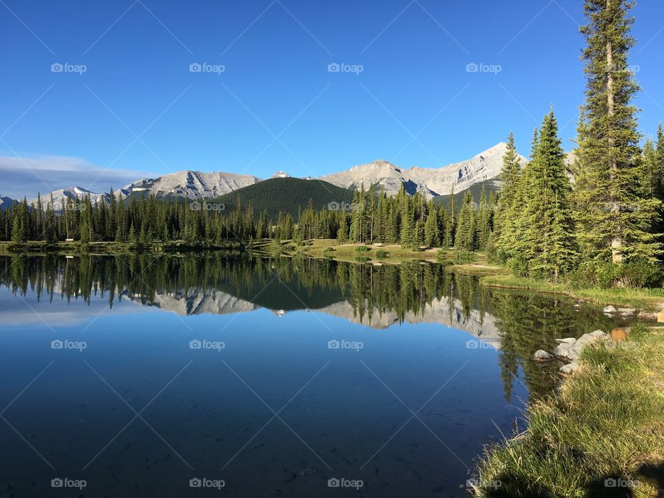 Reflection of forest and mountain on water