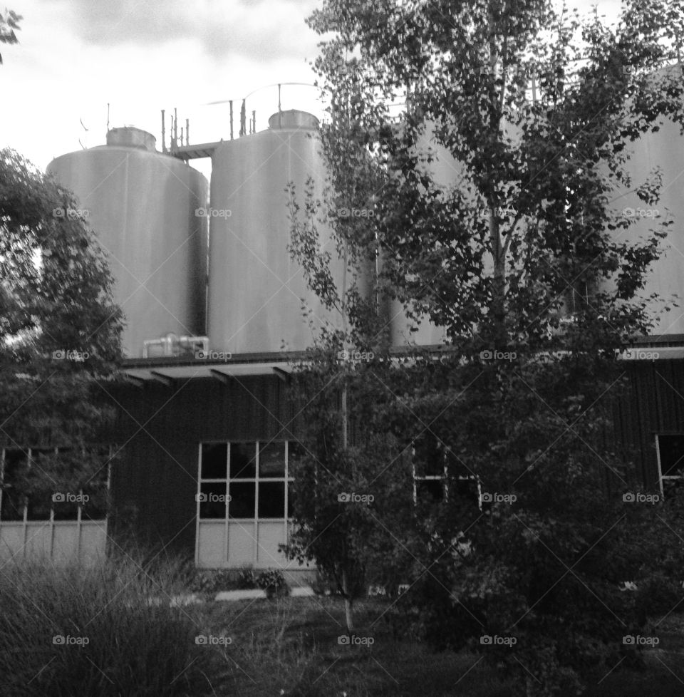 Holding tanks. Odell brewery