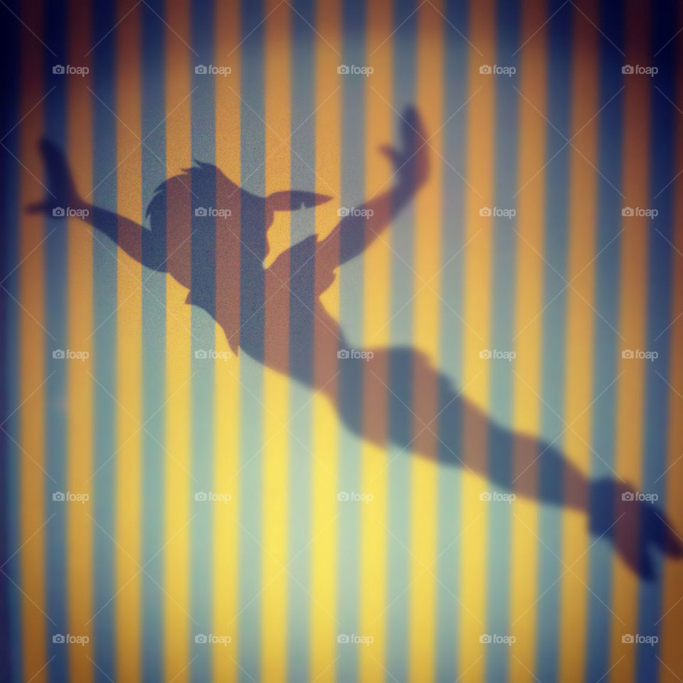shadow flying silhouette stripes by MedicMan85