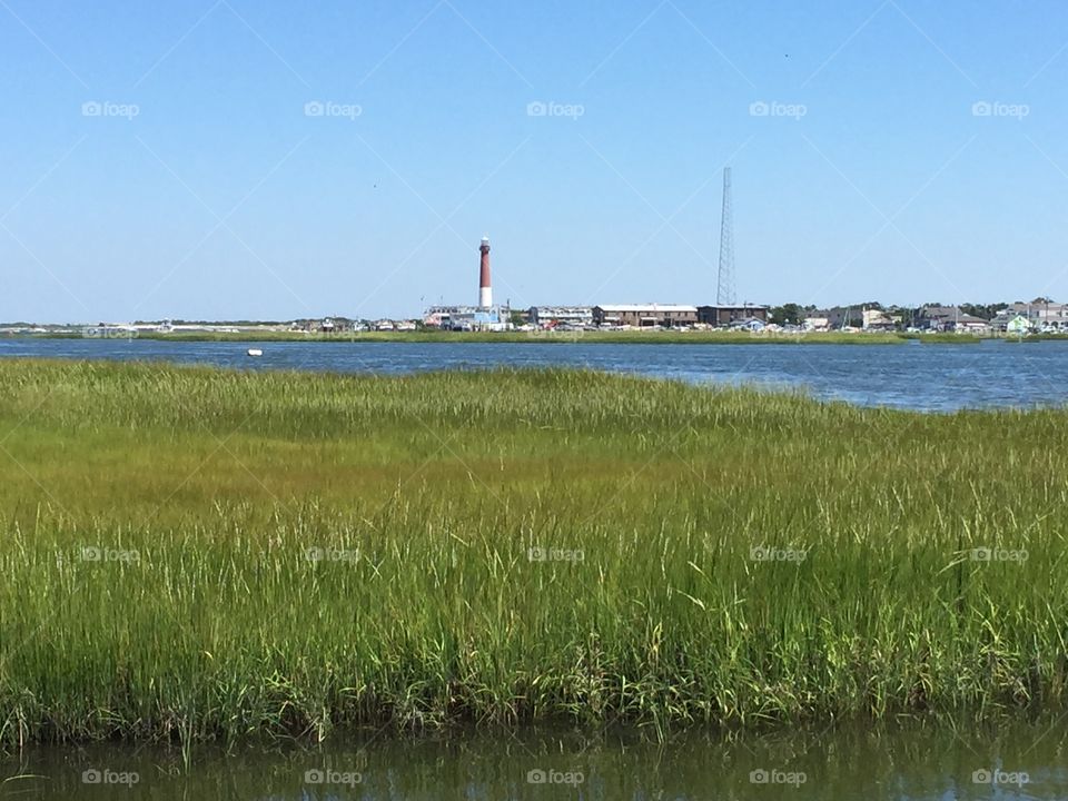 Lighthouse Over Seagrass