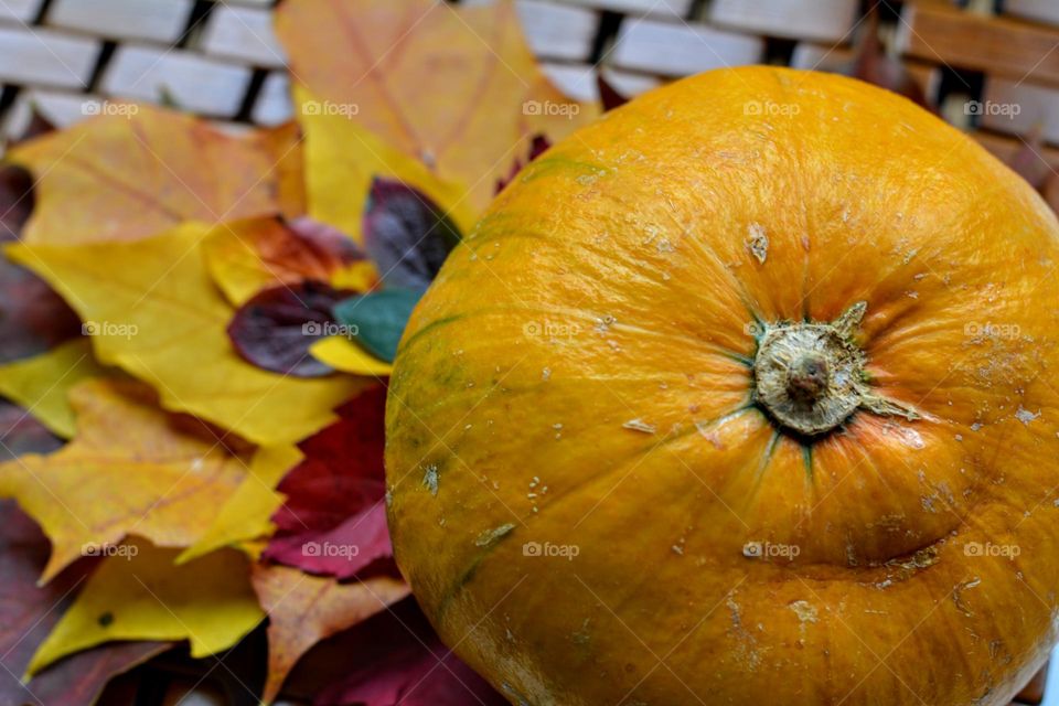 love autumn time vegetables and colour leaves