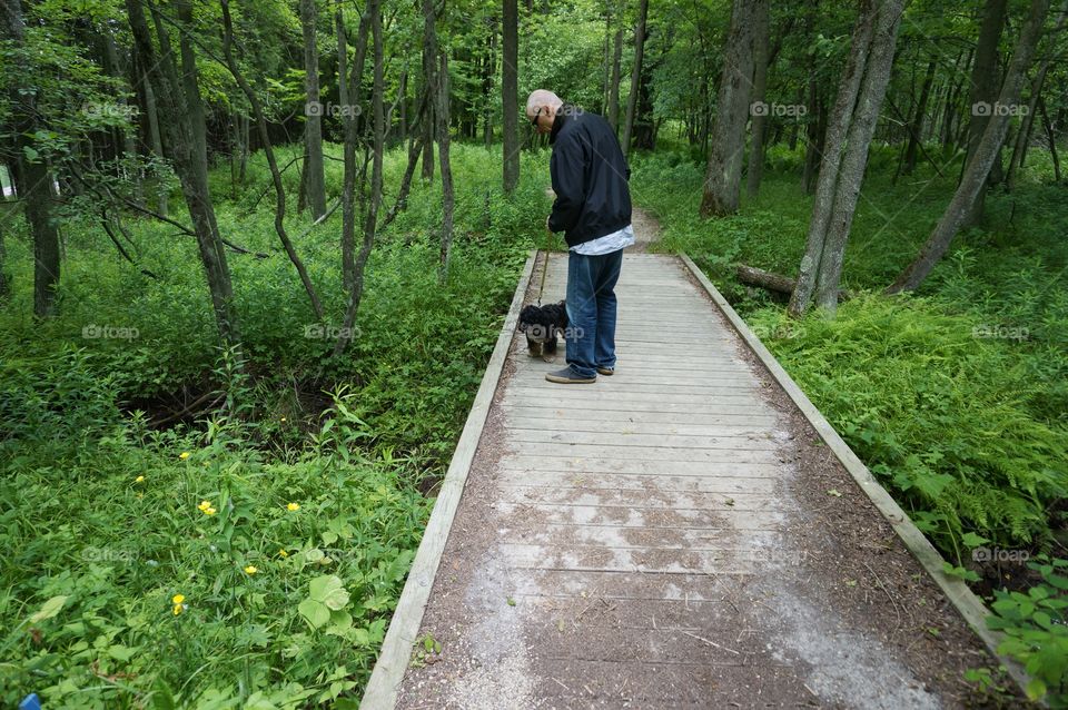 Nature Walk. Nature Walk