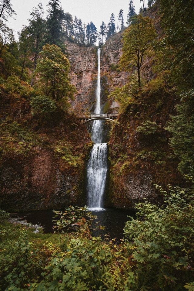 Mountain spring