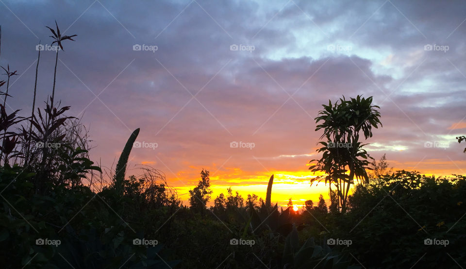 Sunrise on the Big Island 