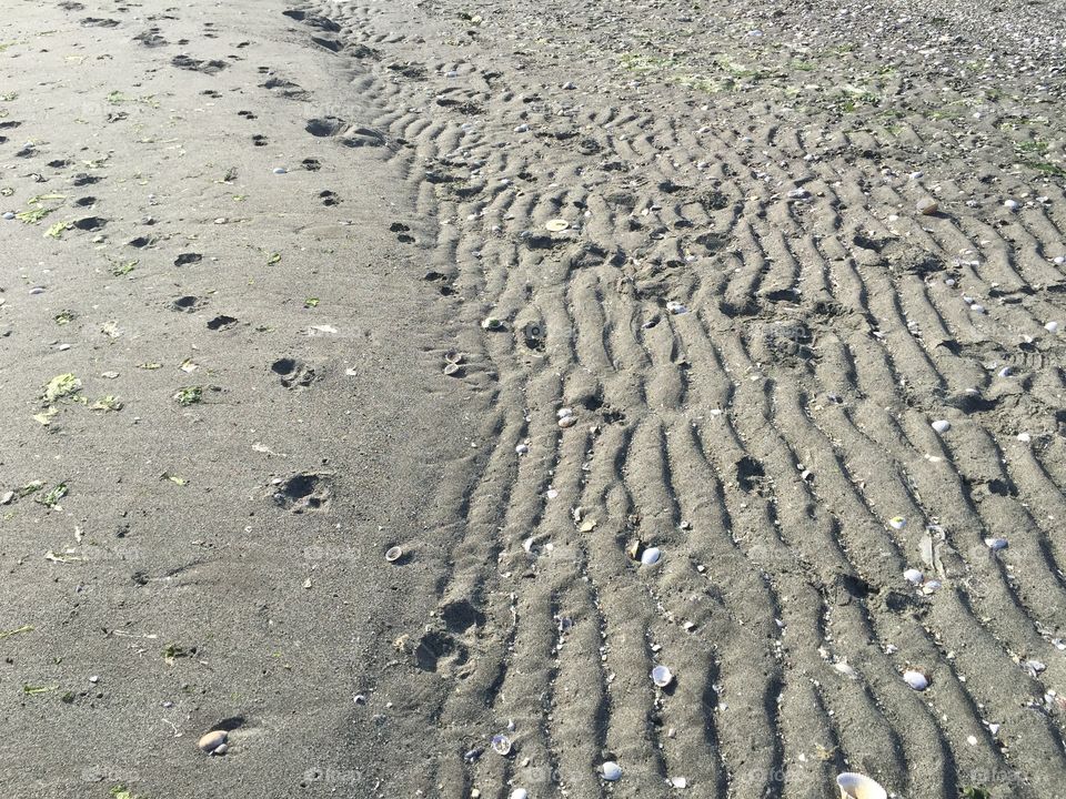 Beachy Footprints. Beachy Footprints 