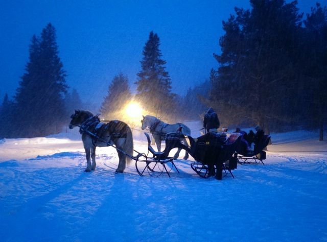 Blizzary Sleigh ride