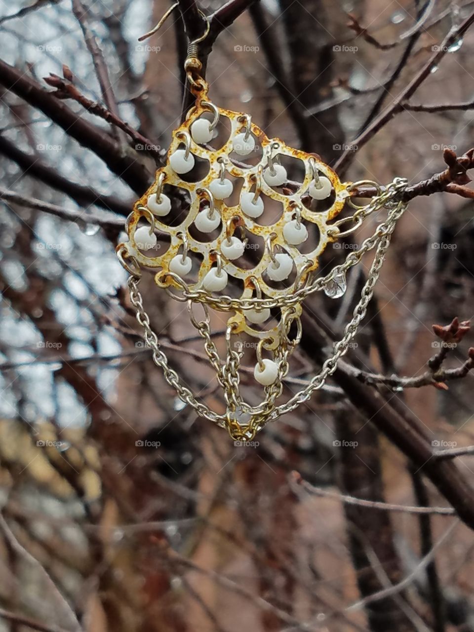 Jewelry in a tree