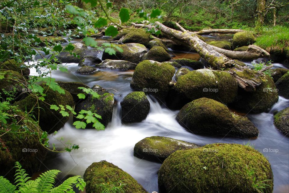 River Bovey