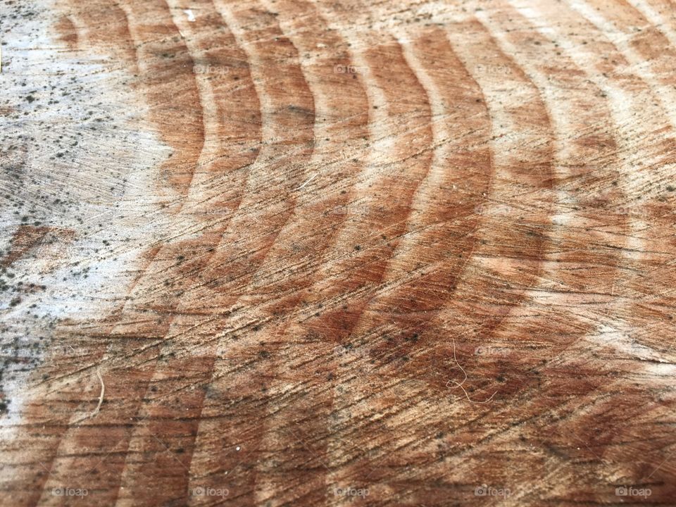 Close-up of a tree rings