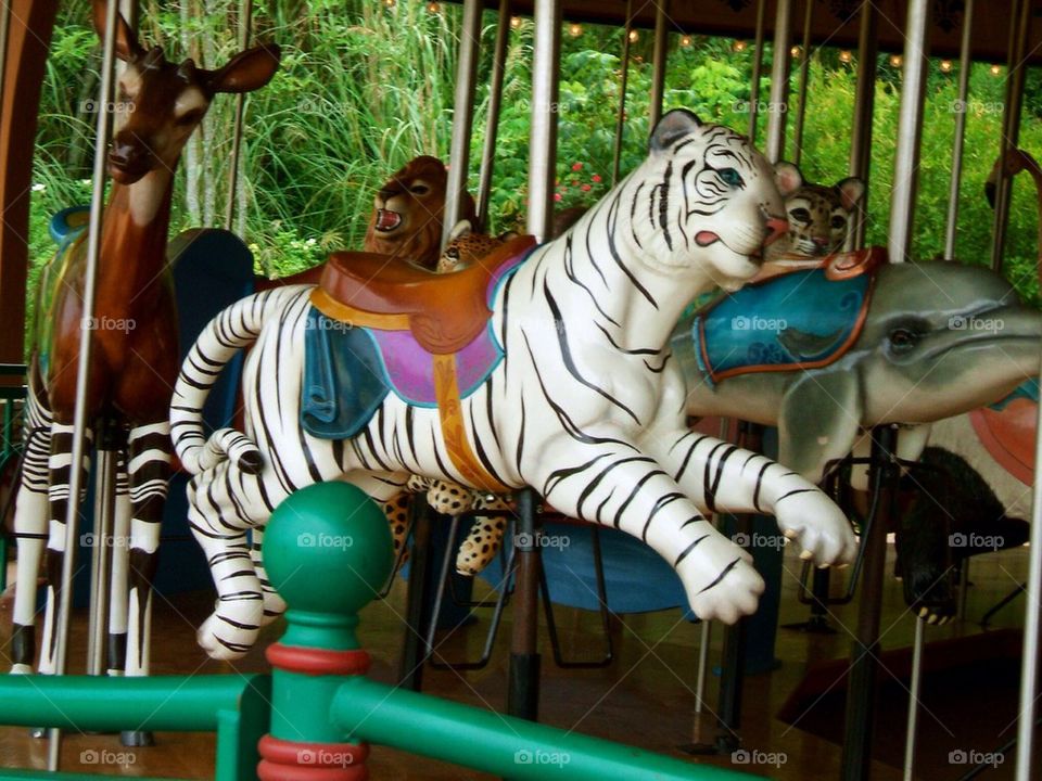 Carousel 
